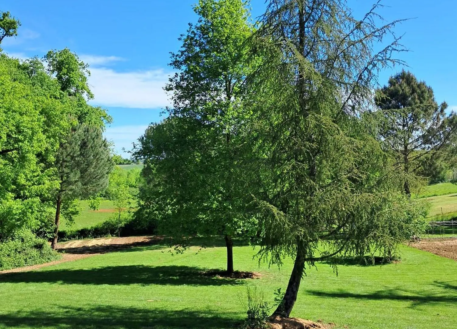 Bed and Breakfast O'Phildelau Manciet 0*,  Francia